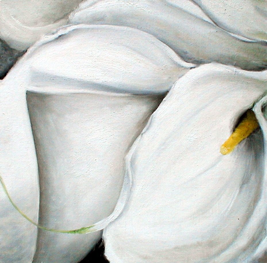 Close-up of overlapping white calla-lily spathes with soft grey shading, a single yellow spadix and a thin green stem