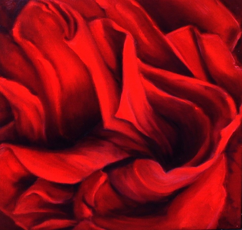 Extreme close-up of deep red flower petals swirling like drapery around an S-curve vortex right of centre