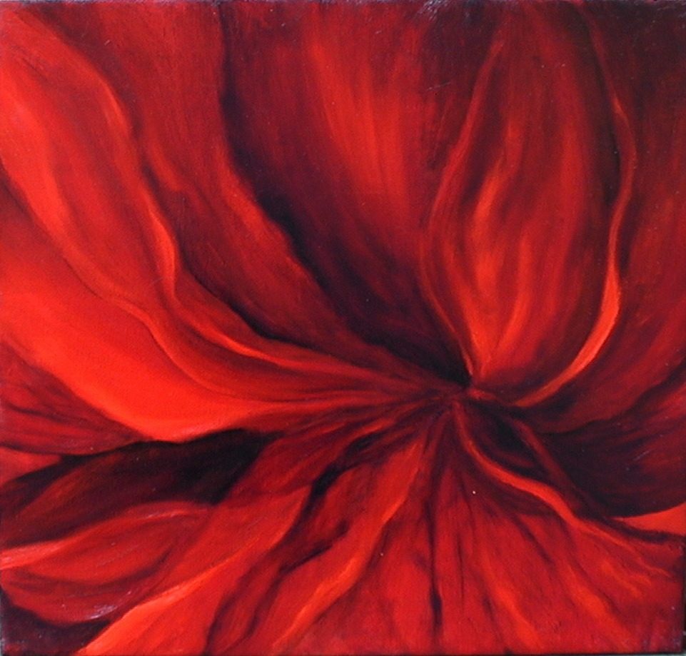 Extreme close-up of a wide-open red flower, petals radiating from a dark convergence point, veined in dark maroon with orange-red highlights