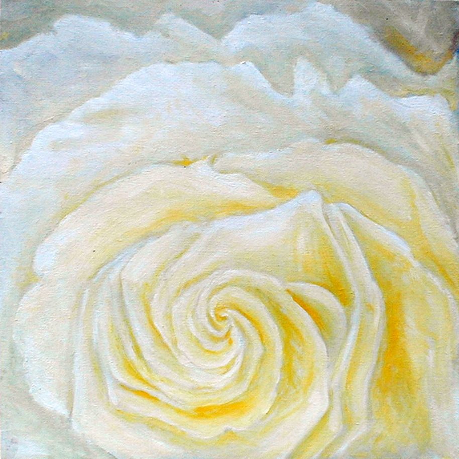 Close-up of a white-cream rose spiralling into a tight vortex, warmed by a soft yellow glow at the heart